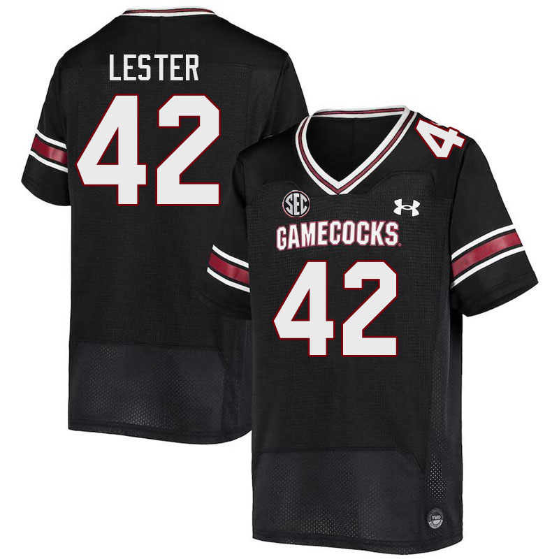 Men #42 Daniel Lester South Carolina Gamecocks 2023 College Football Jerseys Stitched-Black